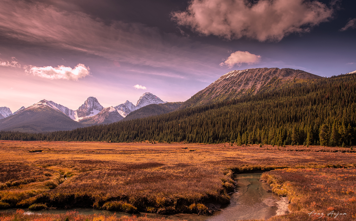 Moose Meadows at Mt. Engadine Lodge by Fraz Anjum ©