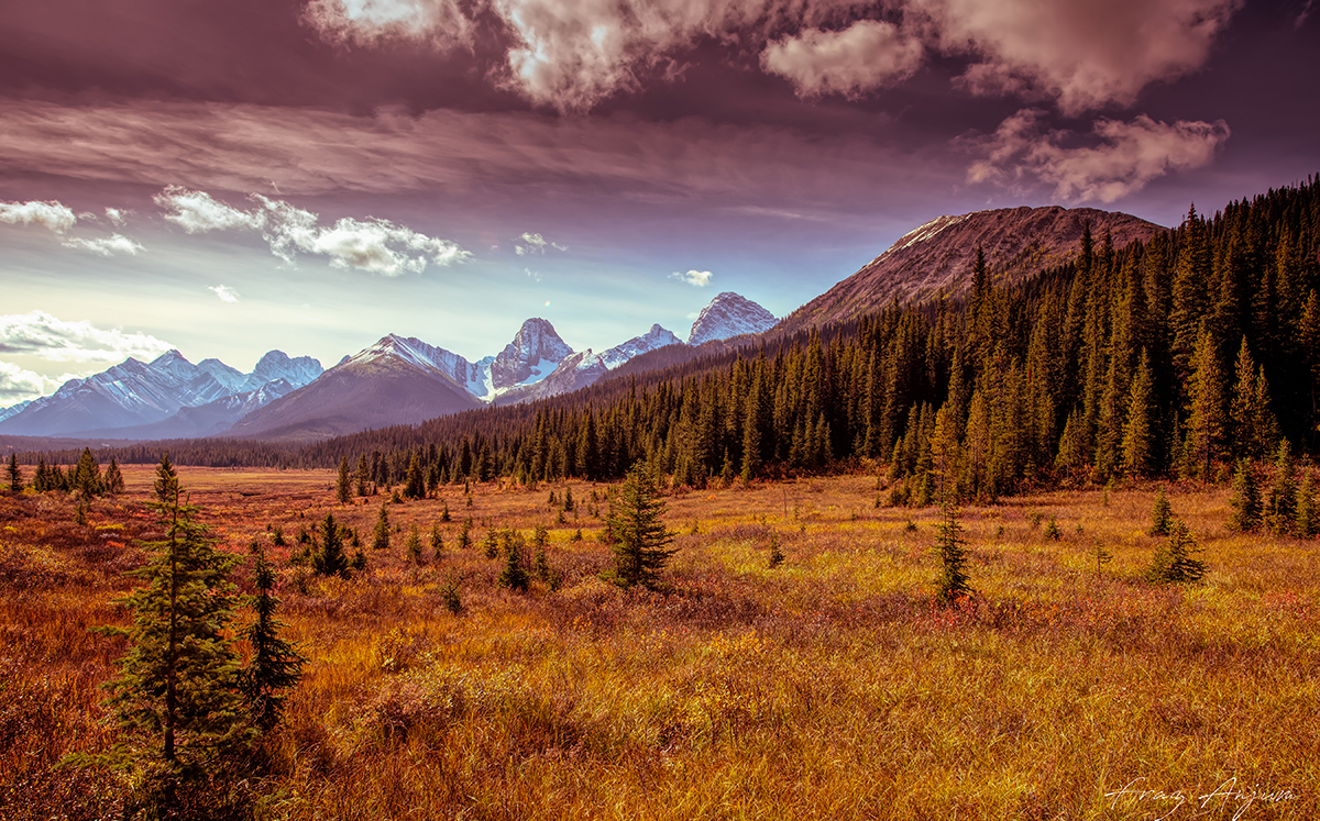 Moose Meadows at Mt. Engadine Lodge  by Fraz Anjum ©