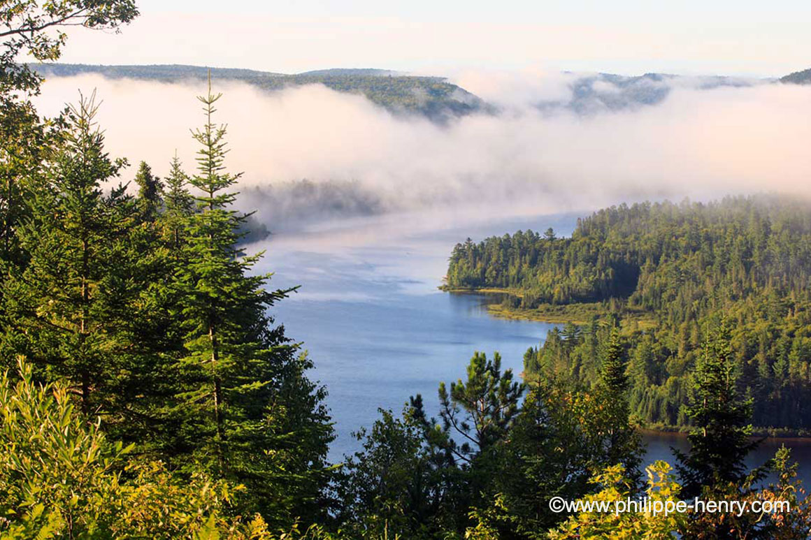 The lakes of la Mauricie national park are home to a large population of bull frogs by Philipe Henry ©