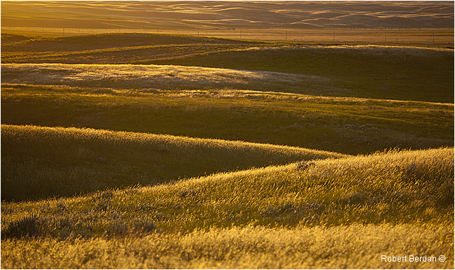 Grasslands National Park by Robert Berdan 