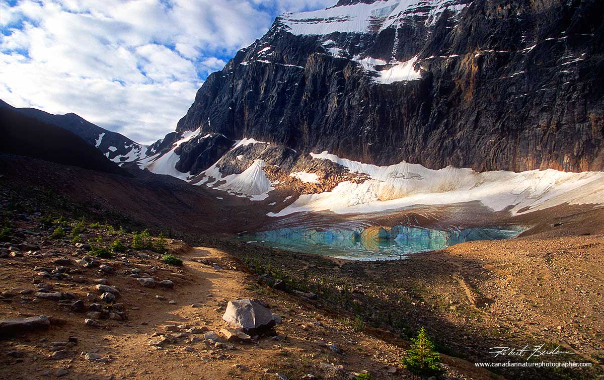 Angel Glacier, Jasper National Park, Alberta by Robert Berdan ©