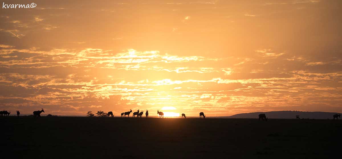 sunset Africa by Kamal Varma ©