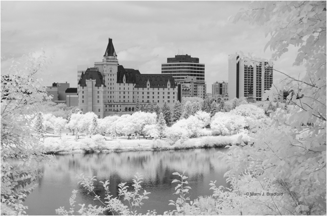 The Bessborough Hotel in Saskatoon, SK as seen from the east riverbank by Marni J. Bradford ©