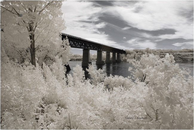 The CP Rail Bridge in Saskatoon photographed in June by Marni J. Bradford ©