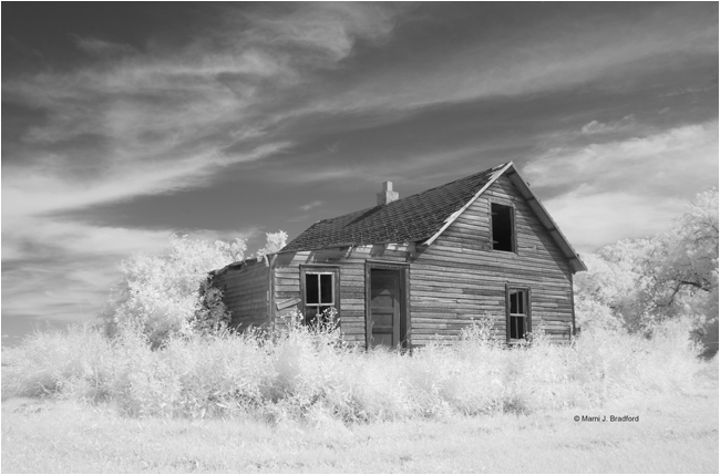 Abandoned farmyard by Marni J. Bradford ©