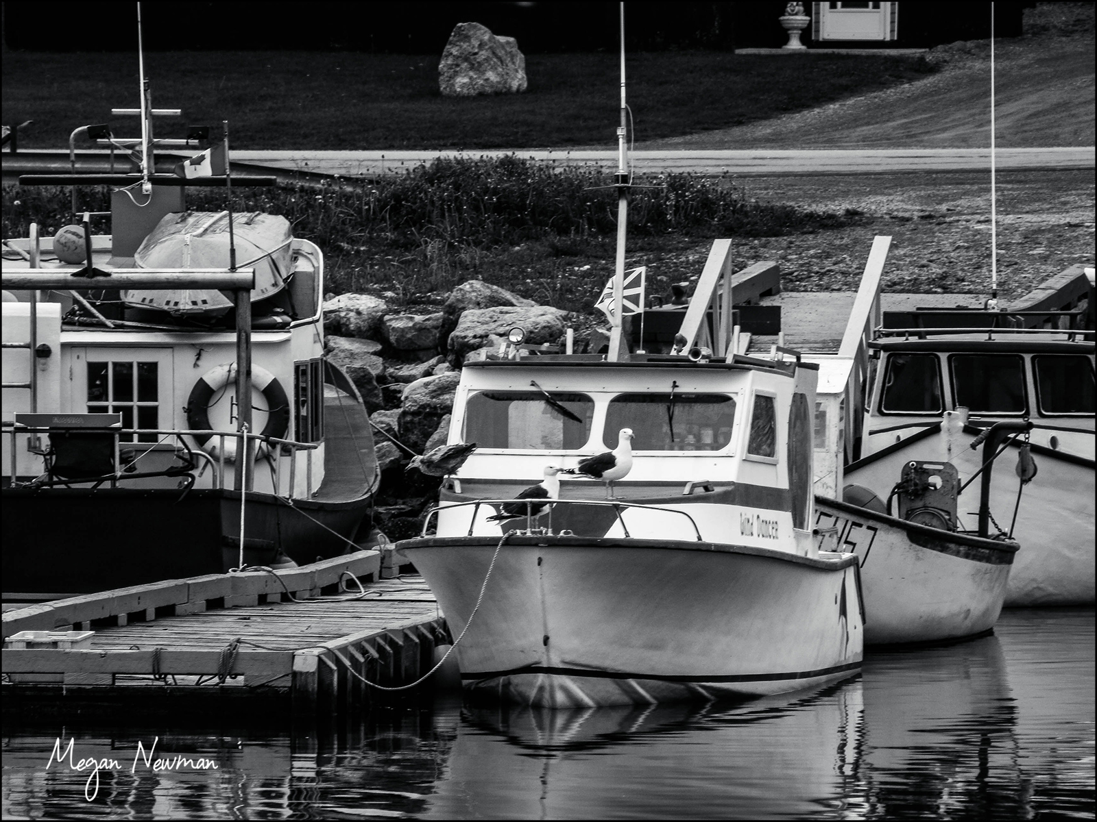 Boats Newfoundland Megan Newman ©
