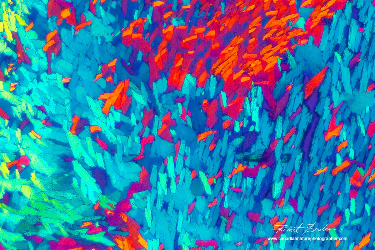 Caffeine crystals 400X polarized light microscpy by Robert Berdan ©