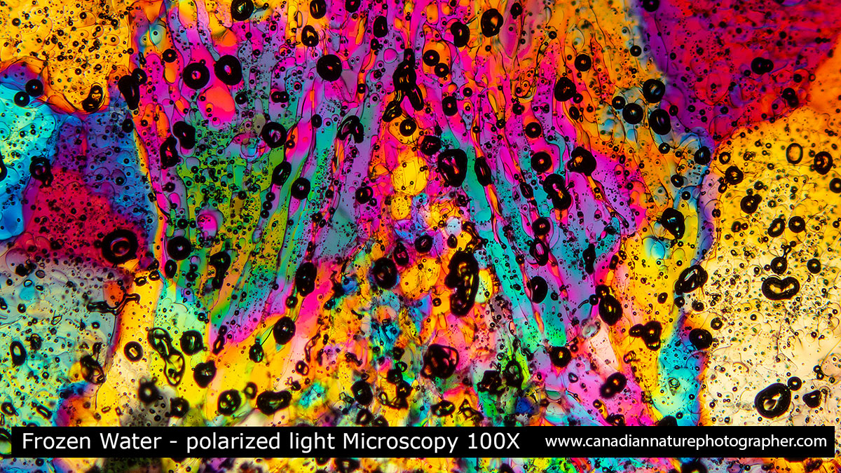 drop of water that has been frozen viewed by Polarized light microscopy Robert Berdan ©