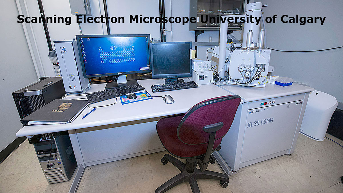 scanning electron microscope from the University of Calgary by Robert Berdan ©
