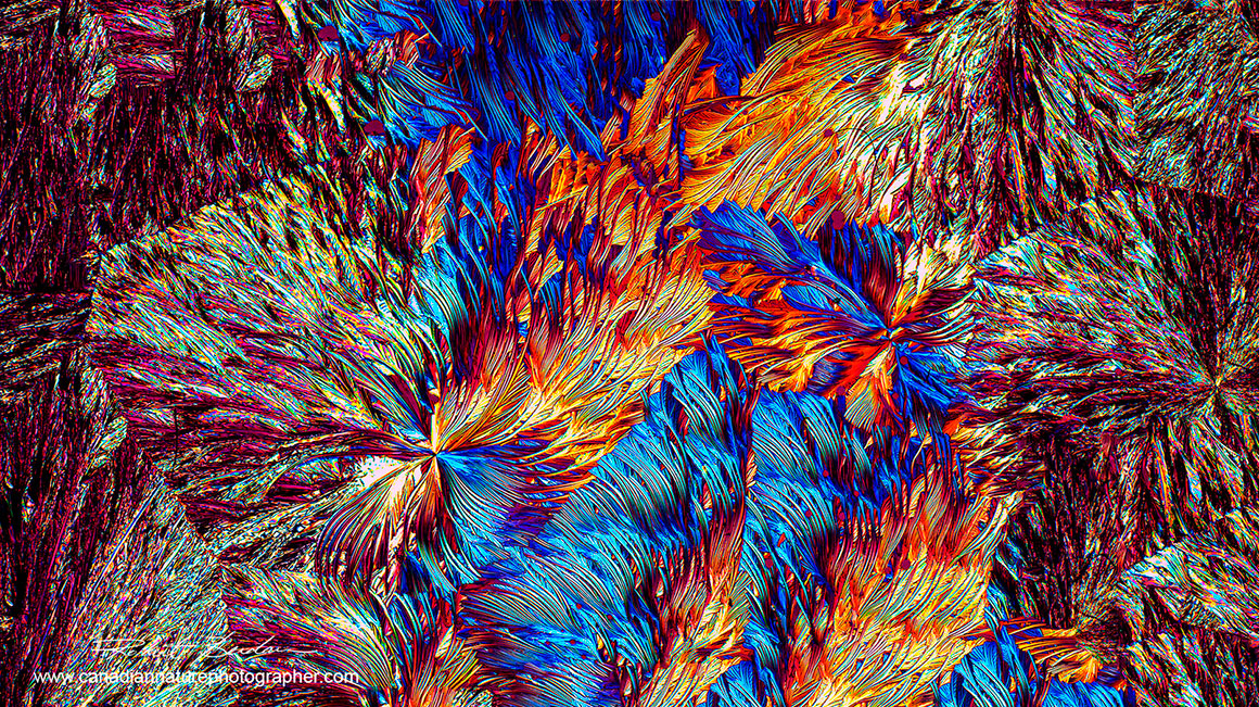 Vitamin C crystals taken with the Moticam SPro5 Lite 5MP camera Robert Berdan ©