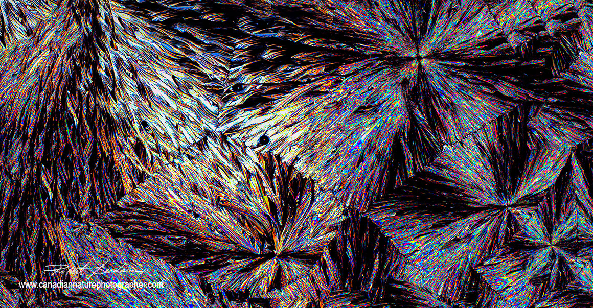 Vitamin C crystals taken with the Moticam SPro5 Lite 5MP camera- 16 image panorama Robert Berdan ©