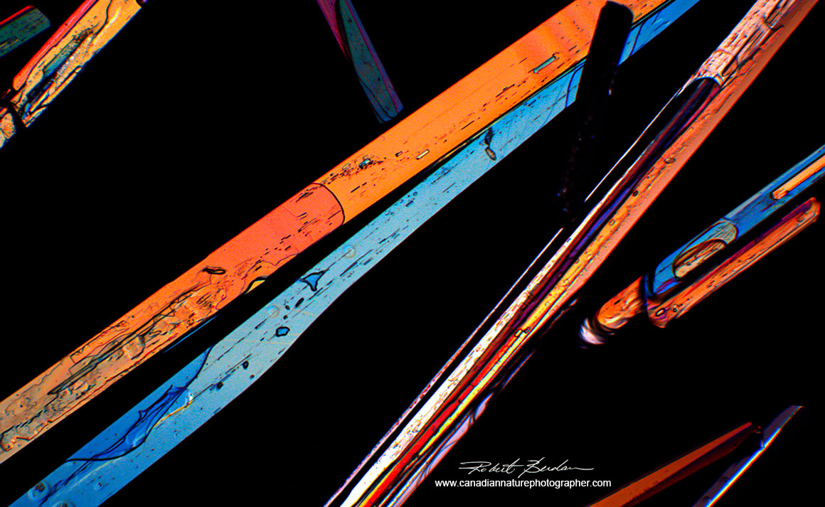 Epsom crystals (magnesium sulfate) polarized Light microscopy 100X Moticam ProS5Lite camera Robert Berdan ©