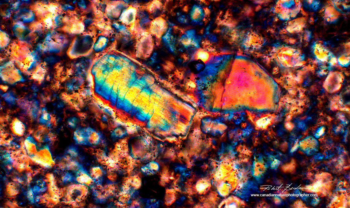 Mineral section in Polarized light 400X photographed with the Moticam ProS5 Lite camera Robert Berdan ©