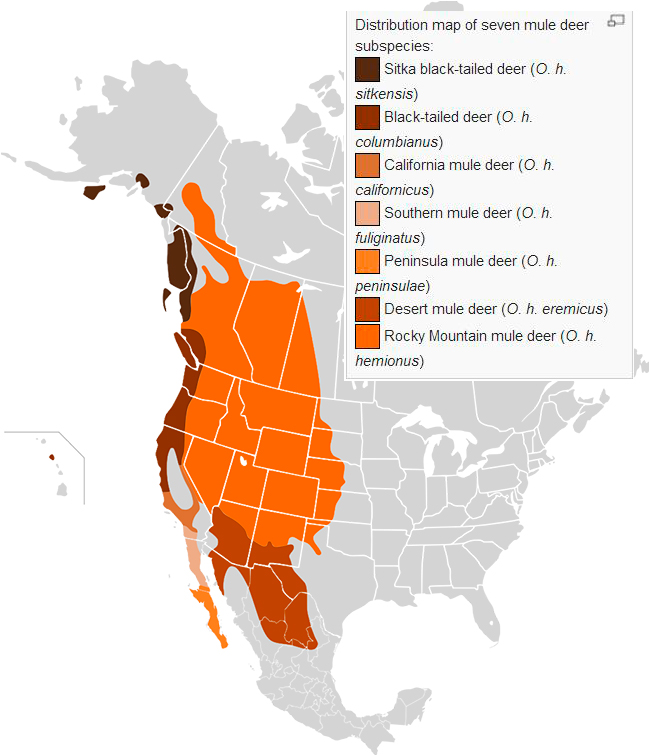 Map of deer distribution in North America by Wikipedia 