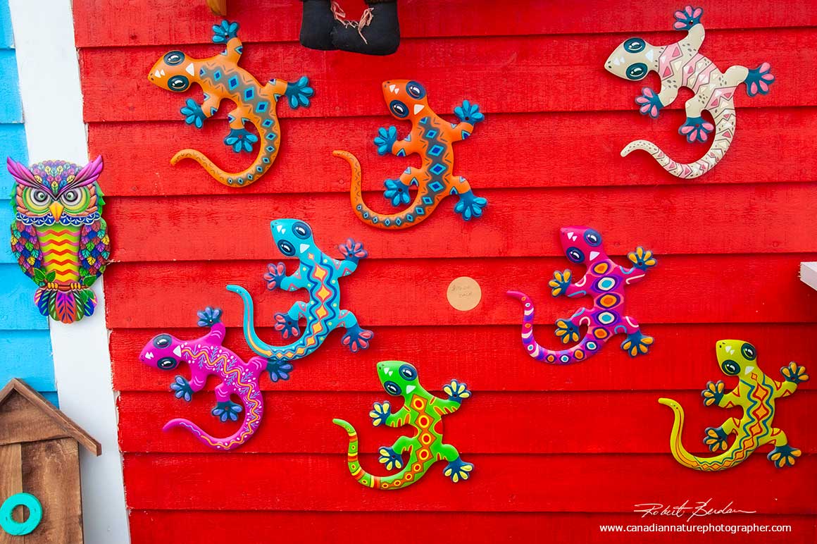 Colourful souvenirs on a gift shop wall next to highway 10 near Tors Cove, Newfoundland by Robert Berdan ©