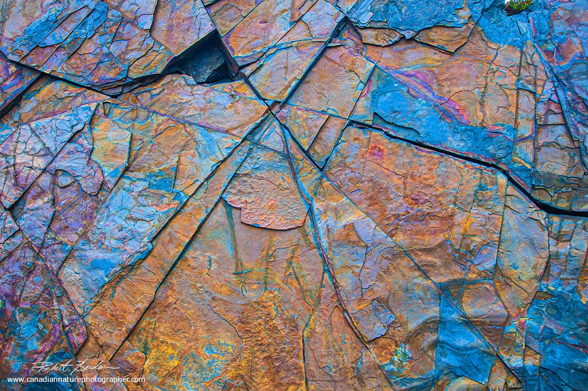 Rock pattern on the beach in Saint Lunaire - Griquet, Newfoundland caught my eye by Robert Berdan ©