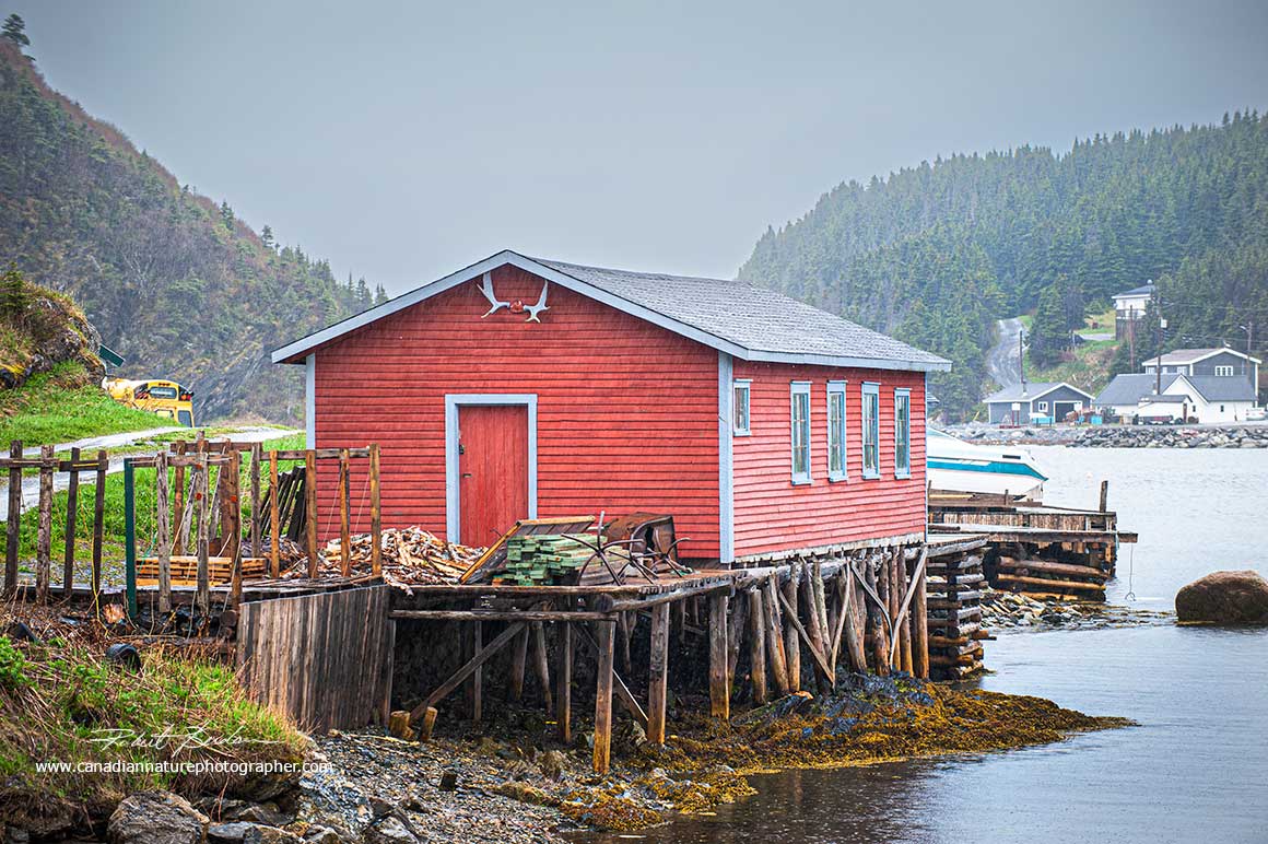 Fishing shed south of St. Anthony's in a small coastal town in Newfoundland by Robert Berdan ©
