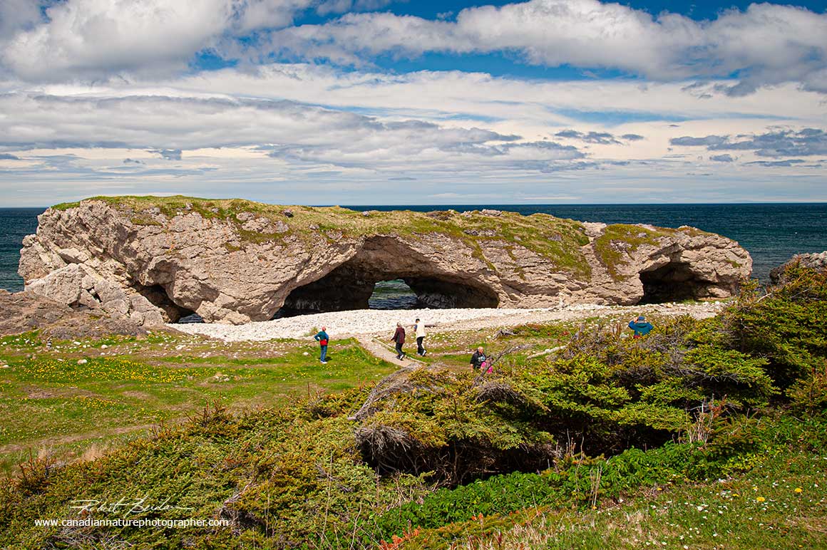 The Arches Provincial Park next to highway 430 going north on the west side of Newfoundland by Robert Berdan ©
