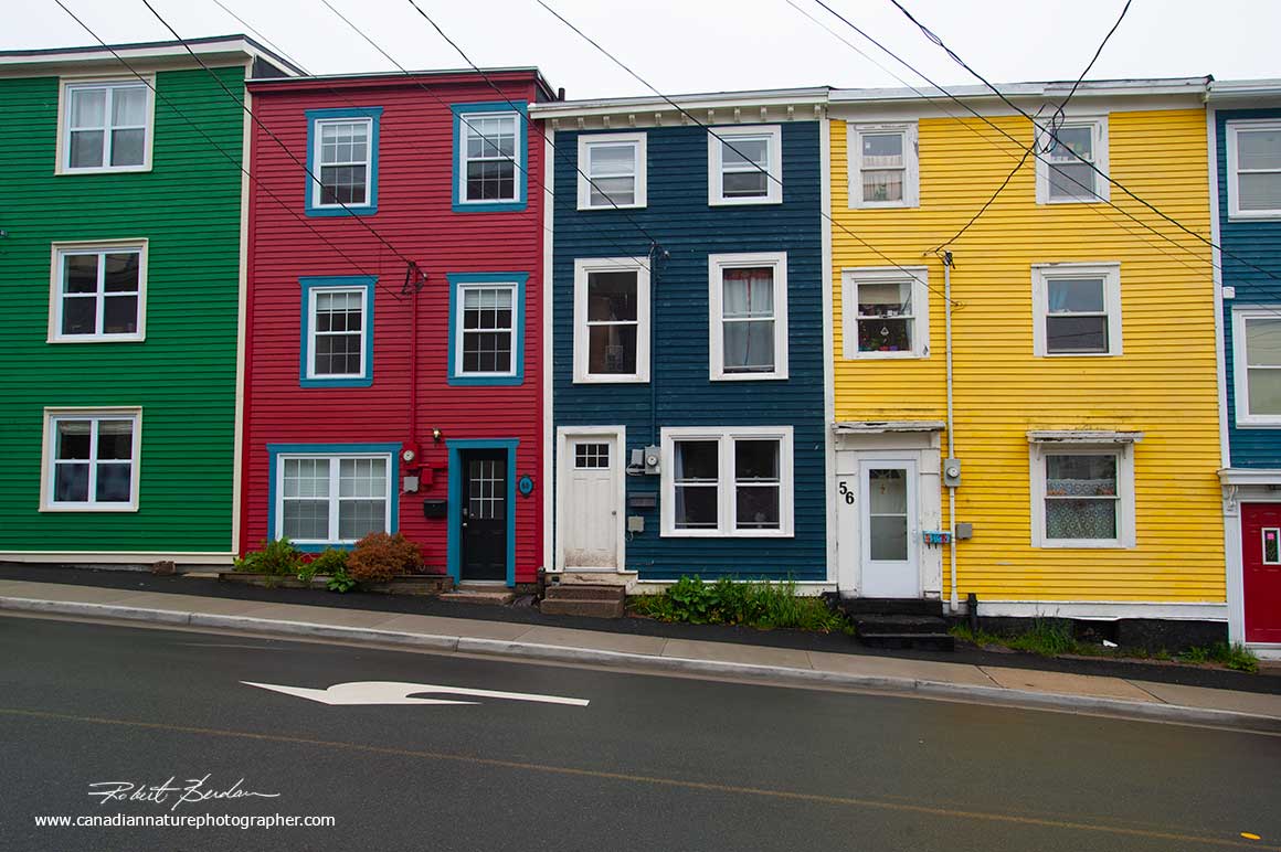 St. John's Newfoundland features colourful buildings by Robert Berdan ©