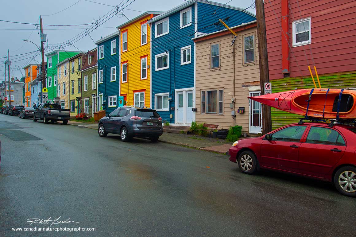 St. Johns - Newfoundland  row of coloured houses