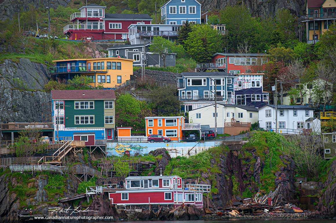 Houses viewed from the most easterly side of St. John's Harbour, Newfoundland by Robert Berdan ©