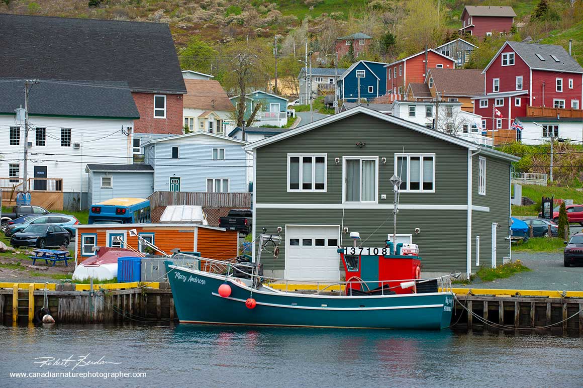 Petty Harbour-Maddox Cove, Newfoundland by Robert Berdan ©