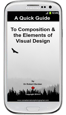 A Quick guide to the Composition and the Elements of Visual Design by Robert Berdan ©