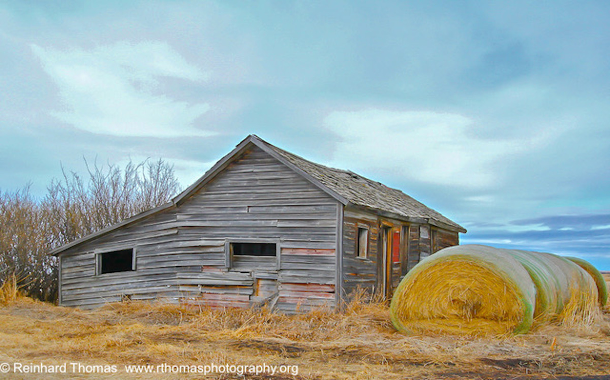 Old Alberta Barn by Reinhard Thomas ©