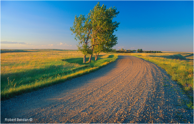 Road next to Writing on Stone Provincial park, AB by Robert Berdan ©