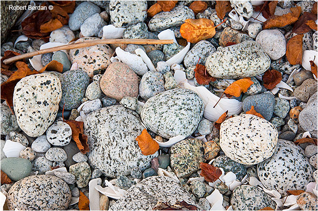 Stones and shells part of a miden by Robert Berdan ©