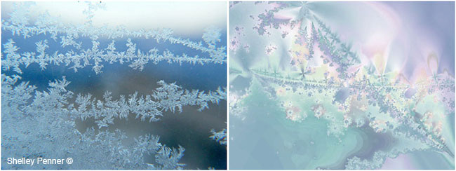 Frost on window and Ultra Fractal #8 by Shelly Penner ©