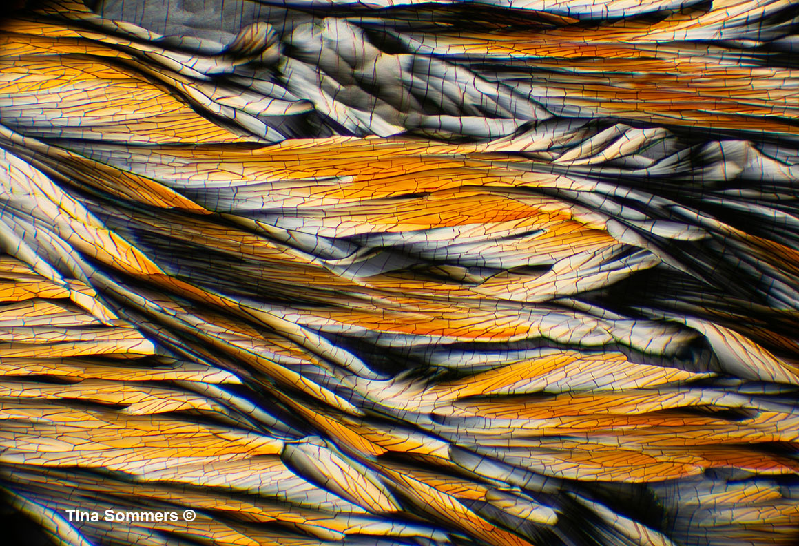 Crystals by polarized light microscopy 40X  by Tina Sommers ©