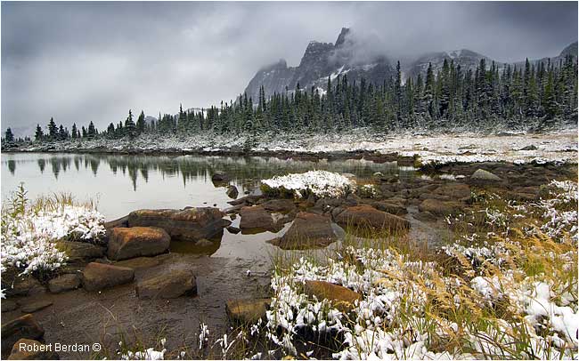 Fresh snow in the Tonquin Valley by Robert Berdan ©