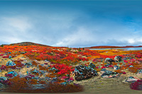 Tundra Point Lake by Robert Berdan ©