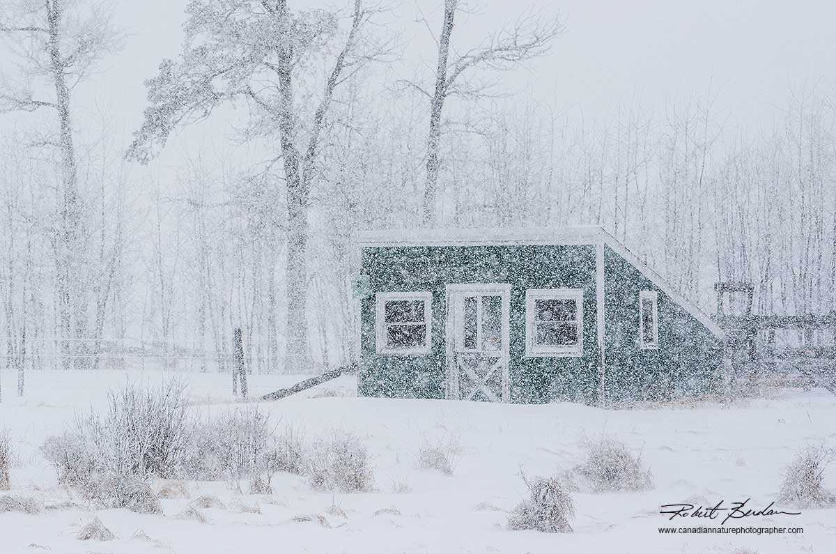 Winter cabin by Robert Berdan ©