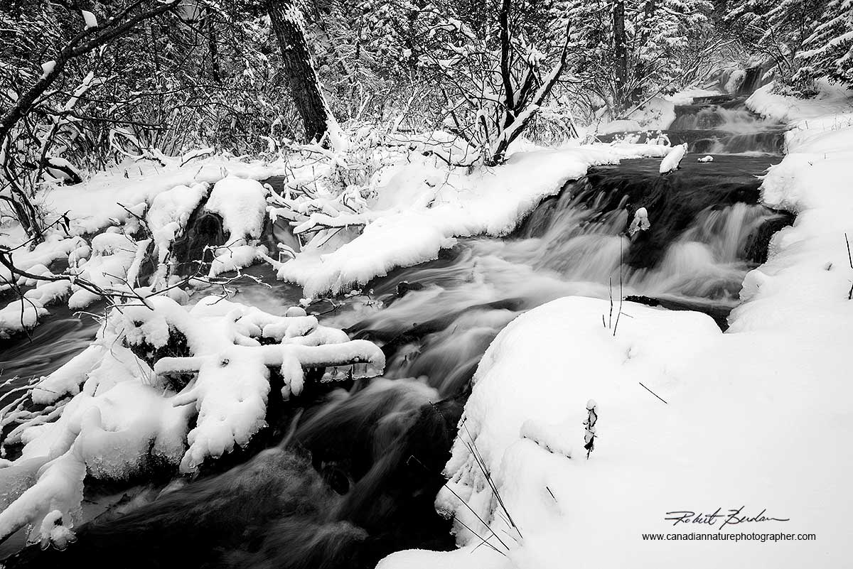 Big Hill Springs Provincial Park north of Calgary, AB by Robert Berdan