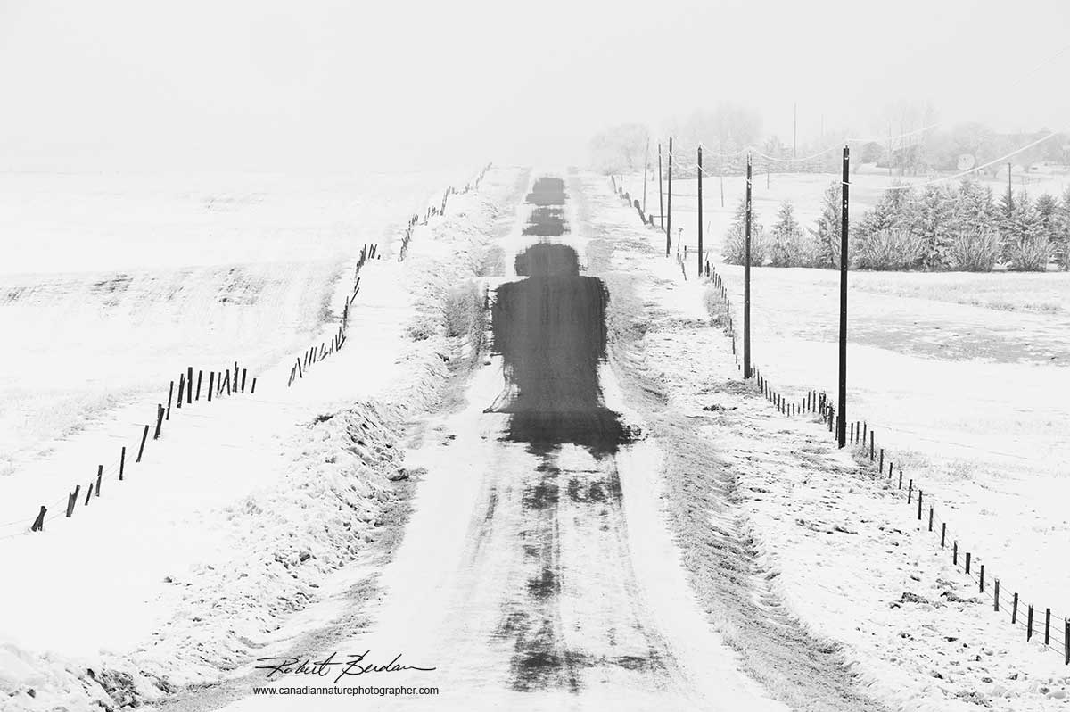 Winter road north of Calgary by Robert Berdan ©