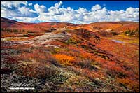 Esker ridge near Point Lake Northwester Territories in autumn by Robert Berdan