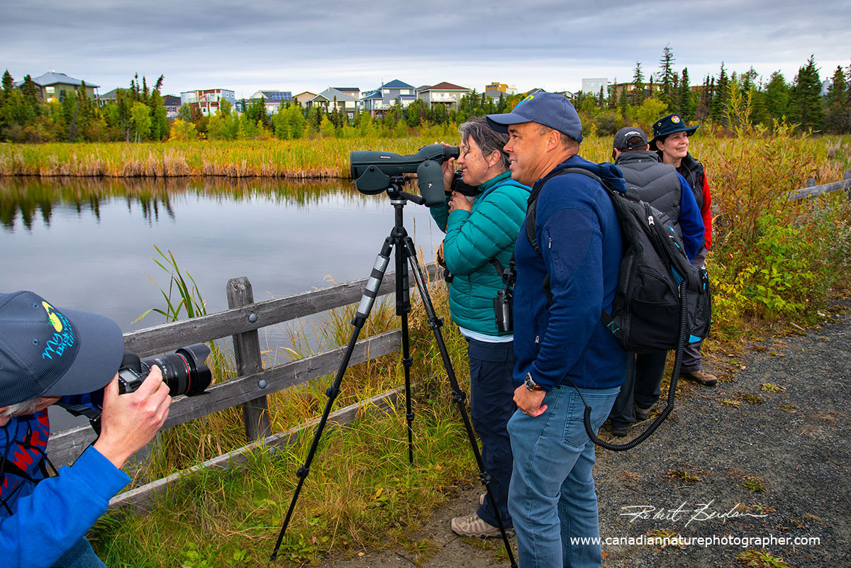 Birding photography in Yellowknife with an expert birder John McKay by Robert Berdan ©