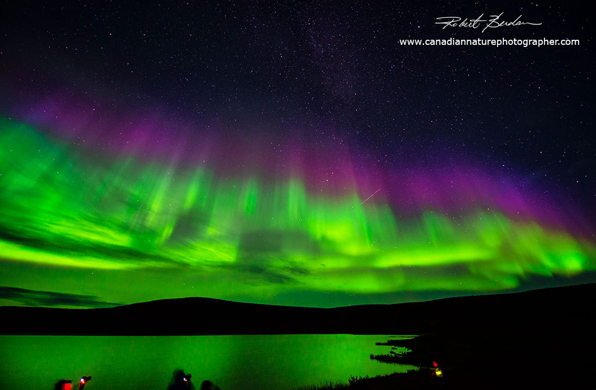 As the Aurora becomes more active there is a hint of purple at the top by Robert Berdan ©