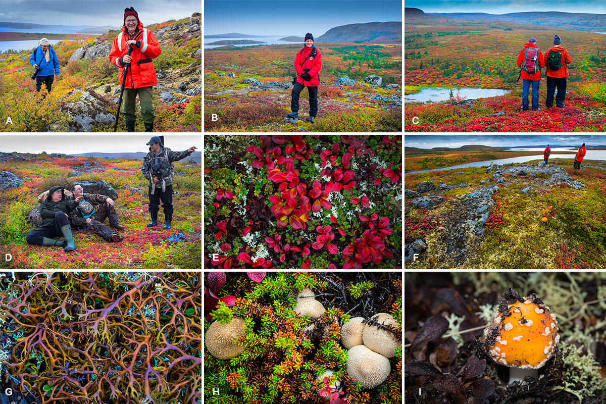 A) Overlooking Pirates Bay Hälle Flygare in front and Lou Stryer in the background. B) Thomas Frank C) Rick McKelvery and John Reid. D) Guides Chuck Rockwell, Egan Wuth and Anthony Santos E) Bearberry leaves F) Overlooking Point lake G) Reindeer Lichen H) Gem studded Puffballs I) Fly Amanita mushroom (Aminita muscaria) by Robert Berdan ©