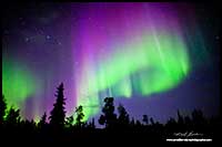 Aurora Borealis and Big dipper, Ingraham Trail outside Yellowknife, NT, by Robert Berdan