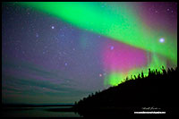 Aurora Borealis over Prelude lake, NT by Robert Berdan