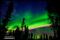Aurora Borealis Prelude Lake, NT by Robert Berdan