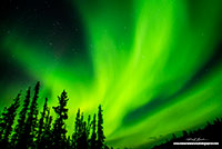 Auroa Borealis outside Yellowknife by Robert Berdan