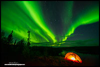 Aurora Borealis and tent, Ingraham trail outside Yellowknife, NT by Robert Berdan