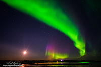 Northern Lights - Aurora Borealis over Yellowknife Bay by Robert Berdan