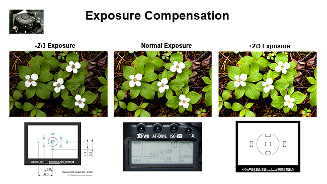 Exposure compensation button allows photographer to darken or lighten an image by Robert Berdan 
