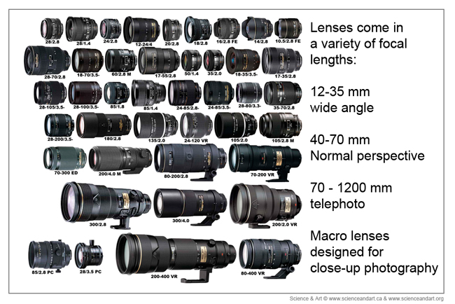 Nikon lens collection showing different focal lengths