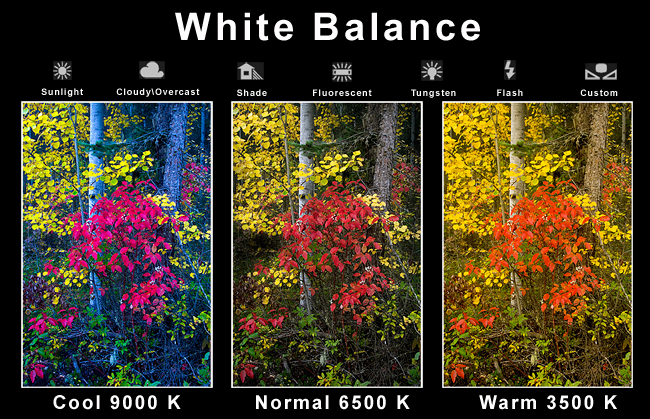 Camera white balance settings for digital photography by Robert Berdan 